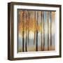 Days of Gold-Sloane Addison  -Framed Art Print