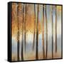 Days of Gold-Sloane Addison  -Framed Stretched Canvas