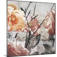 Days of Roses-Matina Theodosiou-Mounted Art Print