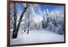 Days to Come-Philippe Sainte-Laudy-Framed Photographic Print