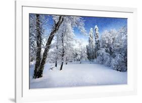 Days to Come-Philippe Sainte-Laudy-Framed Photographic Print