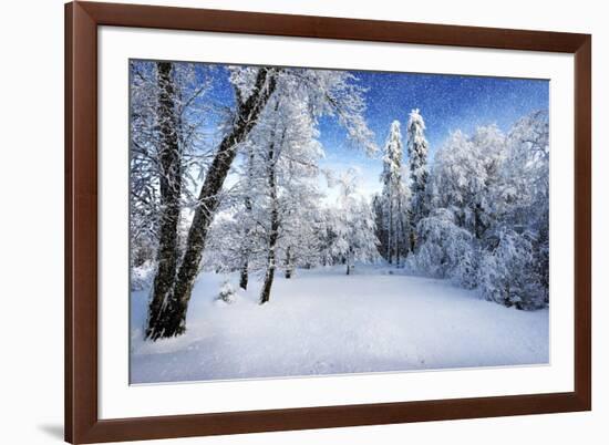 Days to Come-Philippe Sainte-Laudy-Framed Photographic Print