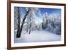 Days to Come-Philippe Sainte-Laudy-Framed Photographic Print
