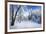 Days to Come-Philippe Sainte-Laudy-Framed Photographic Print