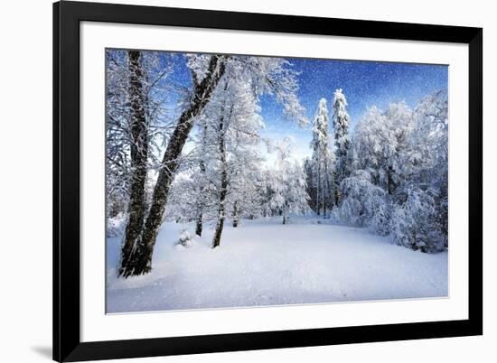 Days to Come-Philippe Sainte-Laudy-Framed Photographic Print