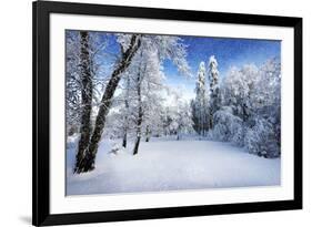 Days to Come-Philippe Sainte-Laudy-Framed Photographic Print