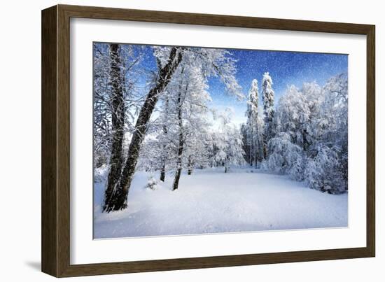 Days to Come-Philippe Sainte-Laudy-Framed Photographic Print