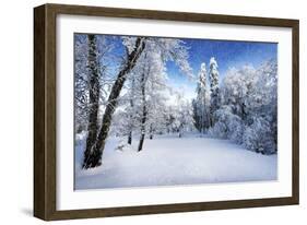 Days to Come-Philippe Sainte-Laudy-Framed Photographic Print