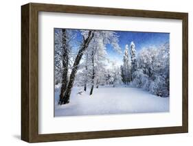 Days to Come-Philippe Sainte-Laudy-Framed Photographic Print