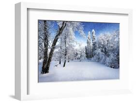 Days to Come-Philippe Sainte-Laudy-Framed Photographic Print