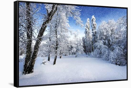 Days to Come-Philippe Sainte-Laudy-Framed Stretched Canvas