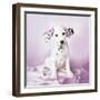 Daysha-Rachael Hale-Framed Photographic Print