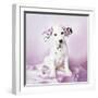 Daysha-Rachael Hale-Framed Photographic Print