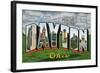 Dayton, Ohio - Large Letter Scenes, Wright Bros. Plane-Lantern Press-Framed Art Print