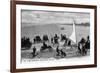 Daytona Beach, Florida - Crowds on Bicycles and in Cars-Lantern Press-Framed Art Print