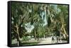 Daytona Beach, Florida - Ridgewood Ave and Hotel View-Lantern Press-Framed Stretched Canvas