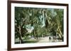 Daytona Beach, Florida - Ridgewood Ave and Hotel View-Lantern Press-Framed Premium Giclee Print