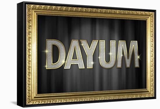 Dayum Bling-null-Framed Stretched Canvas