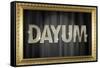Dayum Bling-null-Framed Stretched Canvas