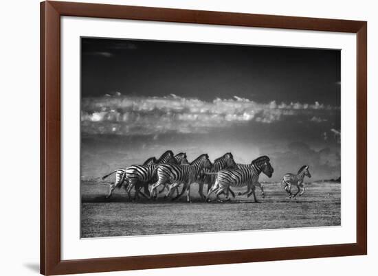 Dazzle-Bobbie Goodrich-Framed Giclee Print