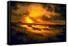 Dazzling Marsh-Ursula Abresch-Framed Stretched Canvas