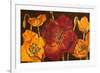 Dazzling Poppies I (Black)-Josefina-Framed Premium Giclee Print