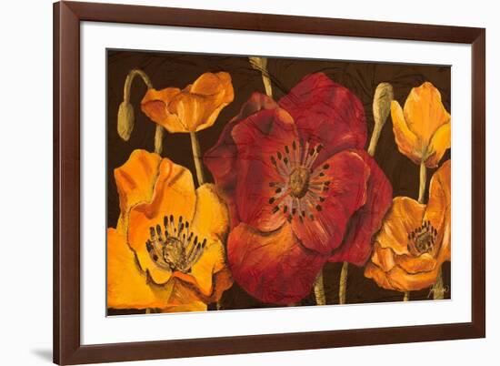 Dazzling Poppies I (Black)-Josefina-Framed Premium Giclee Print