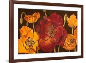 Dazzling Poppies I (Black)-Josefina-Framed Premium Giclee Print