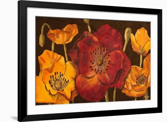 Dazzling Poppies I (Black)-Josefina-Framed Premium Giclee Print