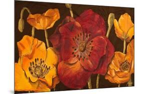 Dazzling Poppies I (Black)-Josefina-Mounted Premium Giclee Print