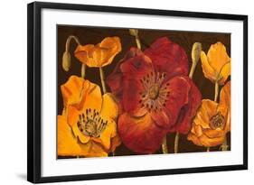 Dazzling Poppies I (Black)-Josefina-Framed Art Print