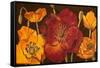 Dazzling Poppies I (Black)-Josefina-Framed Stretched Canvas