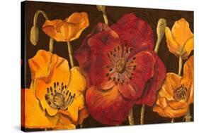 Dazzling Poppies I (Black)-Josefina-Stretched Canvas