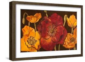 Dazzling Poppies I (Black)-Josefina-Framed Art Print