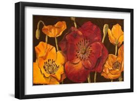 Dazzling Poppies I (Black)-Josefina-Framed Art Print