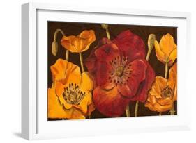 Dazzling Poppies I (Black)-Josefina-Framed Art Print