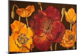 Dazzling Poppies I (Black)-Josefina-Mounted Art Print