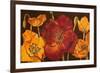 Dazzling Poppies I (Black)-Josefina-Framed Art Print