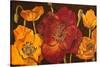 Dazzling Poppies I (Black)-Josefina-Stretched Canvas