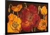 Dazzling Poppies I (Black)-Josefina-Framed Art Print