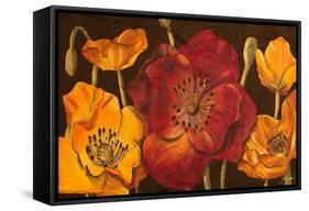 Dazzling Poppies I (Black)-Josefina-Framed Stretched Canvas