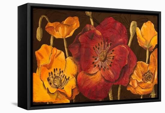 Dazzling Poppies I (Black)-Josefina-Framed Stretched Canvas