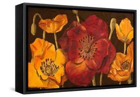 Dazzling Poppies I (Black)-Josefina-Framed Stretched Canvas