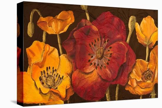 Dazzling Poppies I (Black)-Josefina-Stretched Canvas