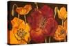 Dazzling Poppies I (Black)-Josefina-Stretched Canvas