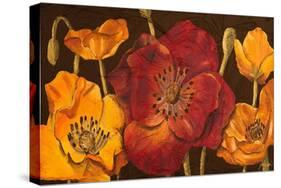 Dazzling Poppies I (Black)-Josefina-Stretched Canvas