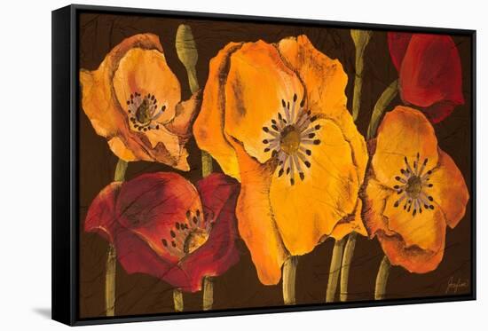 Dazzling Poppies II (Black)-Josefina-Framed Stretched Canvas