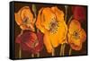 Dazzling Poppies II (Black)-Josefina-Framed Stretched Canvas