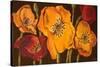 Dazzling Poppies II (Black)-Josefina-Stretched Canvas