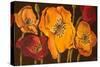 Dazzling Poppies II (Black)-Josefina-Stretched Canvas